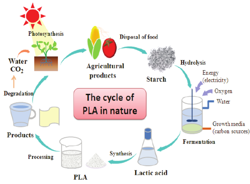 Wie lange dauert Pla bis biologisch abgebaut?