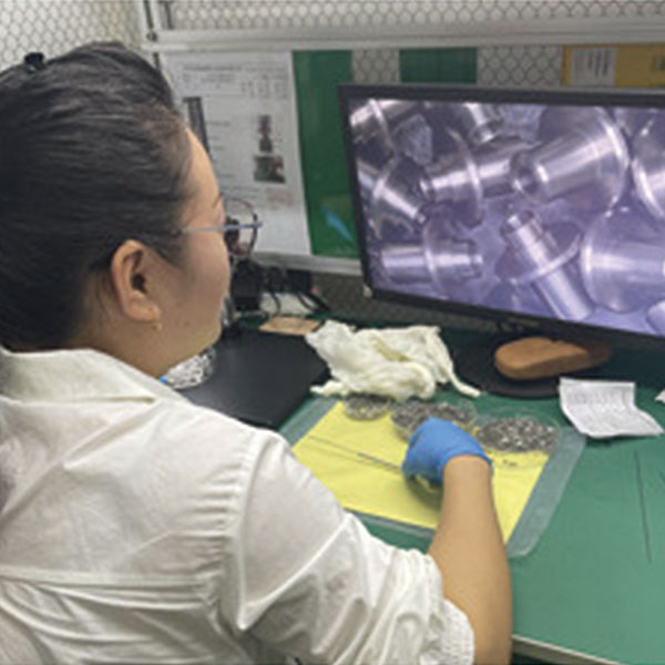 4-volle Qualit&auml;tsinspektion